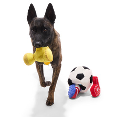 Snootbol Haul Plush Multi-Part + Enrichment Dog Toy