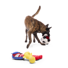 Snootbol Haul Plush Multi-Part + Enrichment Dog Toy