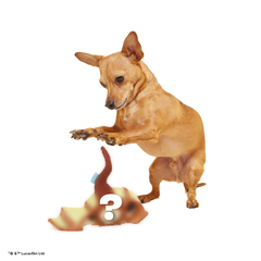 Star Wars™ Creature Club, Plush Monthly Dog Toys