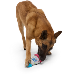 Treat Yourself Party Hat Durable Super Chewer Dog Toy