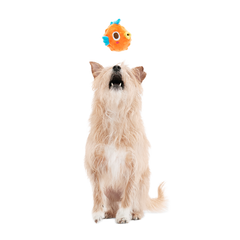 Air Head Plush 2-in-1 + Fetch Dog Toy