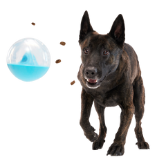 Apex Puzzler Super Chewer Durable Enrichment + Fetch Dog Toy