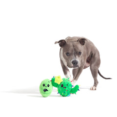 Consuela the Christmas Cactus Rip & Reveal Plush 2-in-1 Rip and Reveal Dog Toy