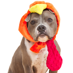 Gobble Head Plush Wearable Tug Dog Toy