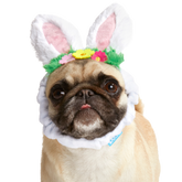 Hare Club Plush Wearable Dog Toy