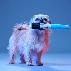 Chews Your Destiny Plush Multi-Part + Tug Dog Toy