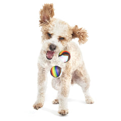 Fetch is Fetch