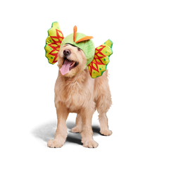Spittin' Image Dino Collar Plush Wearable Dog Toy
