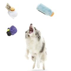Potions Class Pack™ Plush Multi-Part Dog Toy
