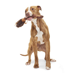 Nimbus 2000™ Broomstick Plush Tug Dog Toy
