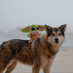 Ride along Grogu™ Plush Wearable Tug Dog Toy