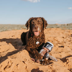 The Mandalorian™ Bounty Fetcher Plush Tug + Multi-Part Dog Toy