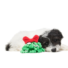 Sniffletoe Tug and Rope Plush Enrichment Dog Toy