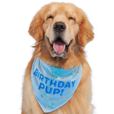 Birthday Dog Bandana
