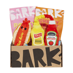 Barkbox - One Month Gift Box