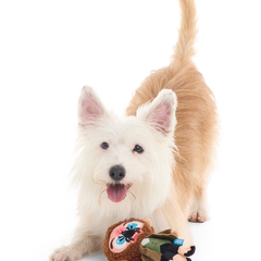 Marv Plush Tug Dog Toy