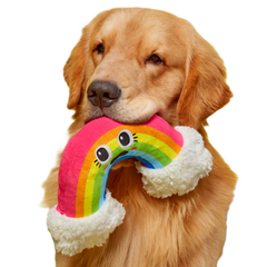 Mr. Blue Sky Plush Tug Dog Toy