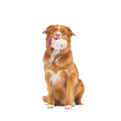 Ol' Kris Kringle™ Plush Multi-Part Dog Toy