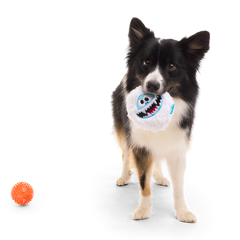 Bumble™ Bounce Plush 2-in-1 Rip and Reveal Dog Toy