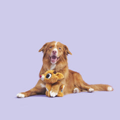 Rudolph the Red-Nosed Reindeer® Plush Tug Dog Toy
