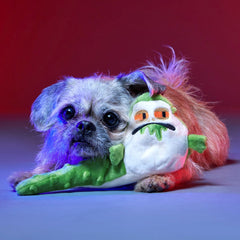 No Barkin', Young Jedi™ Plush Tug Dog Toy