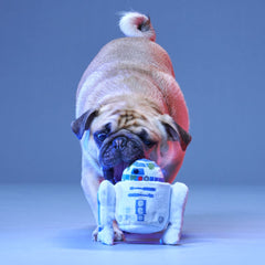 Beep Boop Squeak Plush Multi-Part + Fetch Dog Toy