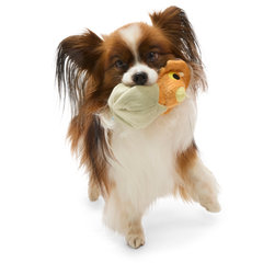 Baby Triceratops Plush Multi-Part + Enrichment Dog Toy