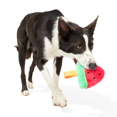 Slobbermelon Pop Plush Tug Dog Toy