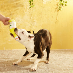 Limonsmello