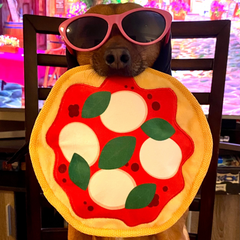 Muttzarella Pizza