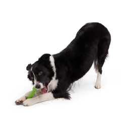 Aspupagus Super Chewer Durable Gnaw Toy