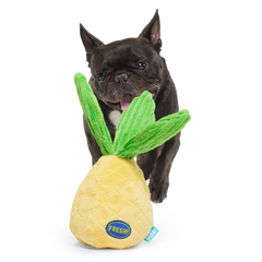 Spiky Pineyapple