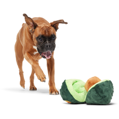 Arfocado Plush Enrichment + Tug Dog Toy