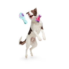 Gigi the Fiji Mermaid Multi-Part + Enrichment Dog Toy