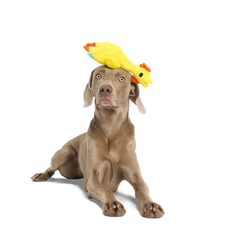 Fozziwig’s Rubber Chicken Plush Tug Dog Toy