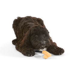 Lady Fingrrrs Durable Super Chewer Gnaw + Enrichment Dog Toy