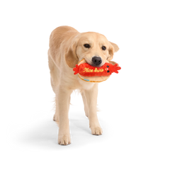 Frank Flirter Plush Tug Dog Toy