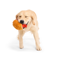 Frank Flirter Plush Tug Dog Toy