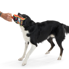 Treat Biter III Plush Enrichment + Tug Dog Toy