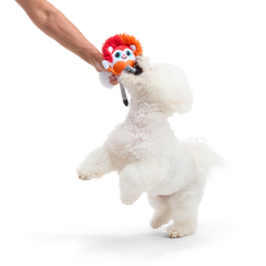 Showsquirrel Plush Tug Dog Toy