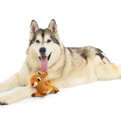 Rudolph® Holiday Gift Barkbox