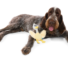 Lucy Goosey Plush Tug Dog Toy