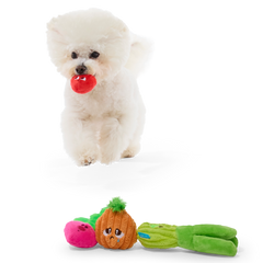 Garden Party Plush Multi-Part Tug + Fetch Dog Toy