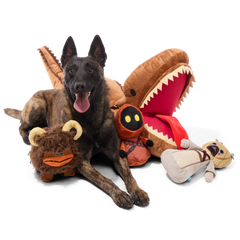 Krayt Dragon™ Plush XXXL Multi-Part + Enrichment Dog Toy