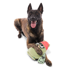 Bearista Plush Extra-Large Tug Dog Toy
