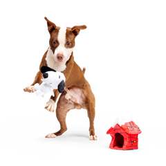 Doghouse Snoopy Plush Multi-Part Dog Toy