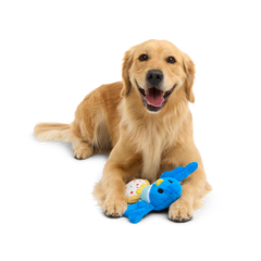 Barry The Blue Bird Plush Tug Dog Toy