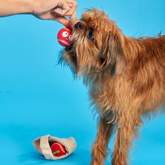 The Munch Bunch Plush Enrichment + Multi-Part + Fetch Dog Toy