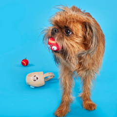 The Munch Bunch Plush Enrichment + Multi-Part + Fetch Dog Toy