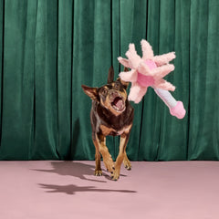 Glinda's Good Wand Plush Tug Dog Toy